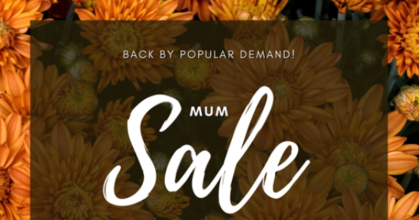 Annual Mum Sale