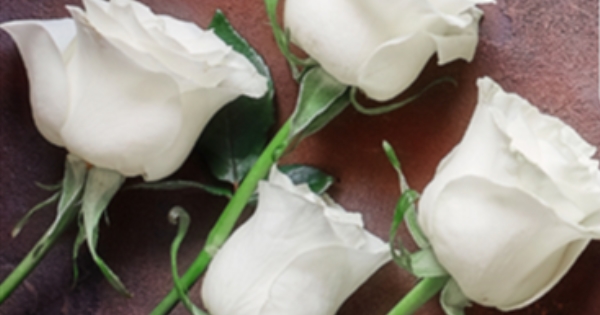 Pray for the Staley family